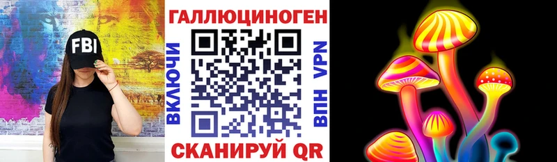Купить закладки  Старица  Галлюциногенные грибы Psilocybe 